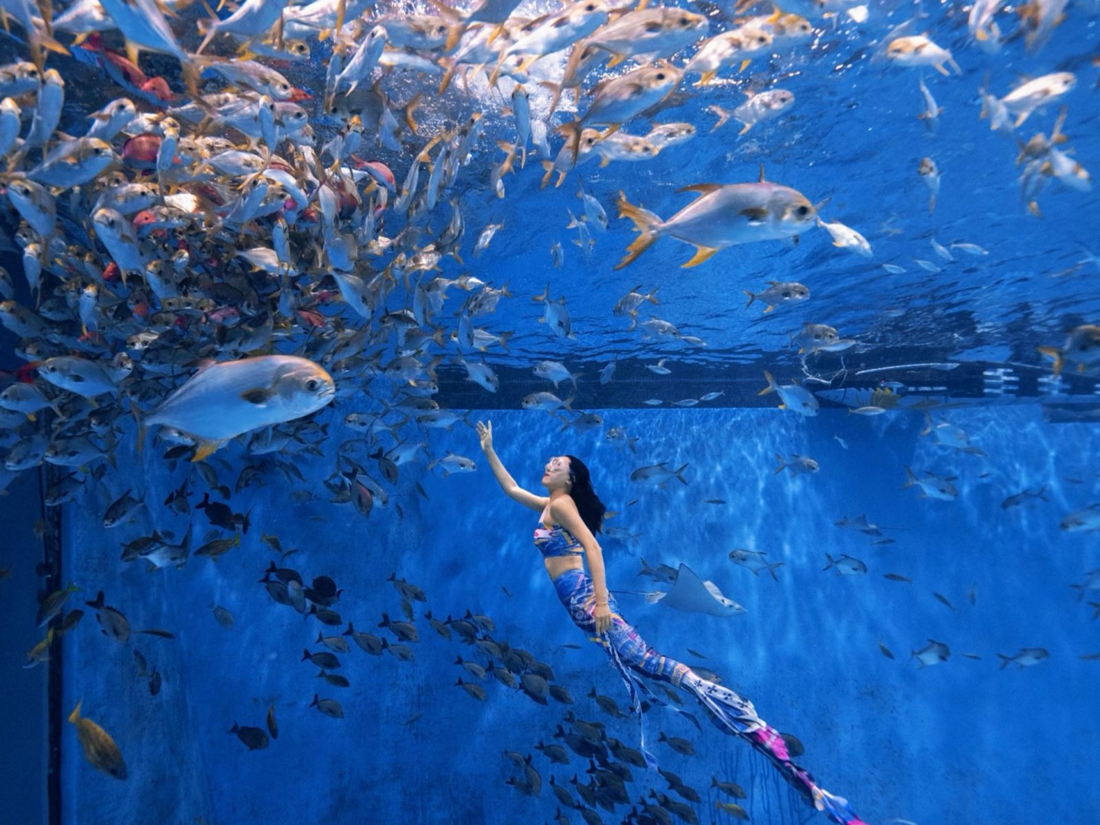 Волшебный мир русалок