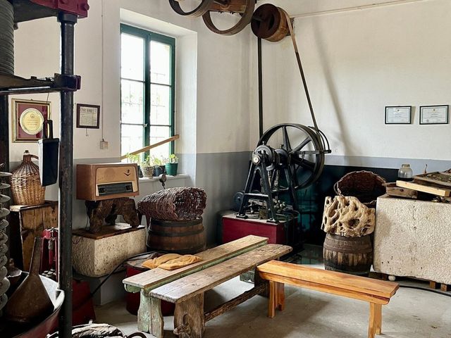 Индивидуальная экскурсия на старинную маслобойню с дегустацией — фото 2