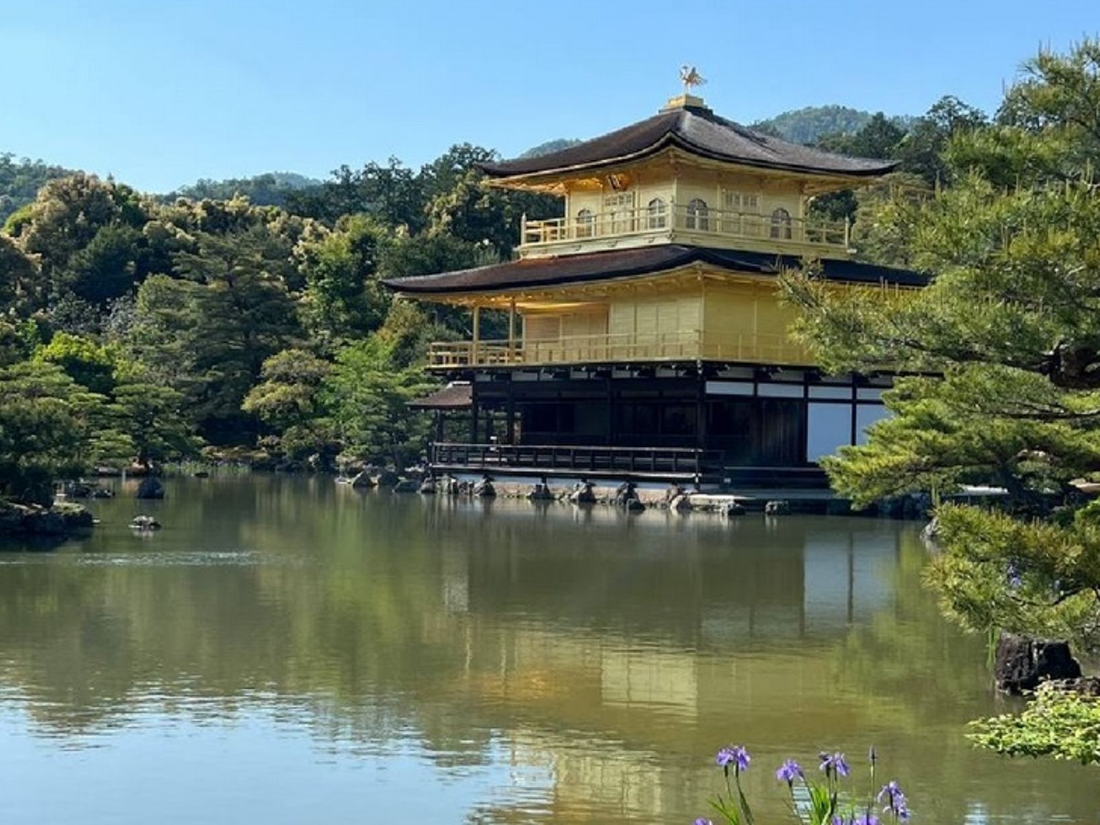 Золотой павильон