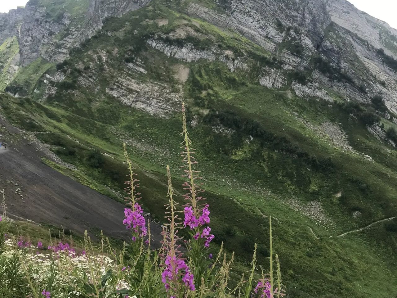 Групповая экскурсия из Сочи "Медовый путь Красной Поляны" - групповая экскурсия в Сочи на автобусе длительностью 8 часов с количеством участников более 20 человек цена экскурсии 900₽