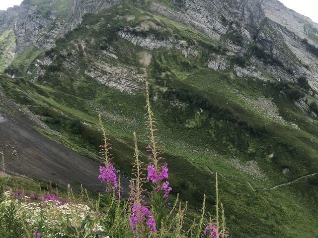 Групповая экскурсия из Сочи "Медовый путь Красной Поляны"