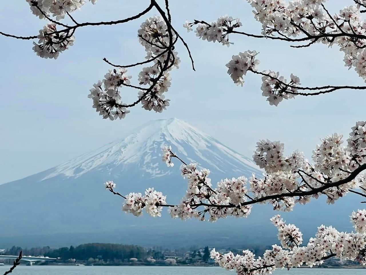 Пять граней величия: экскурсия к горе Фудзи и тайны Пяти озёр - индивидуальная экскурсия в Токио на машине гида длительностью 9 часов с количеством участников до 6 человек со скидкой 5% цена экскурсии 671.65€