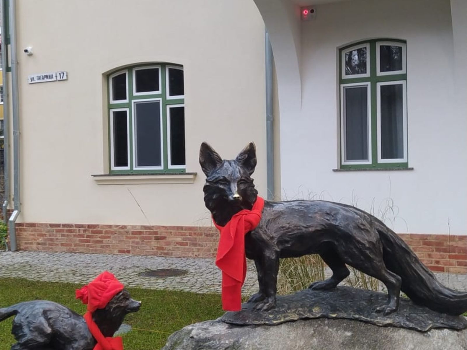 Лисы возле отеля «Вилла Малепартус»