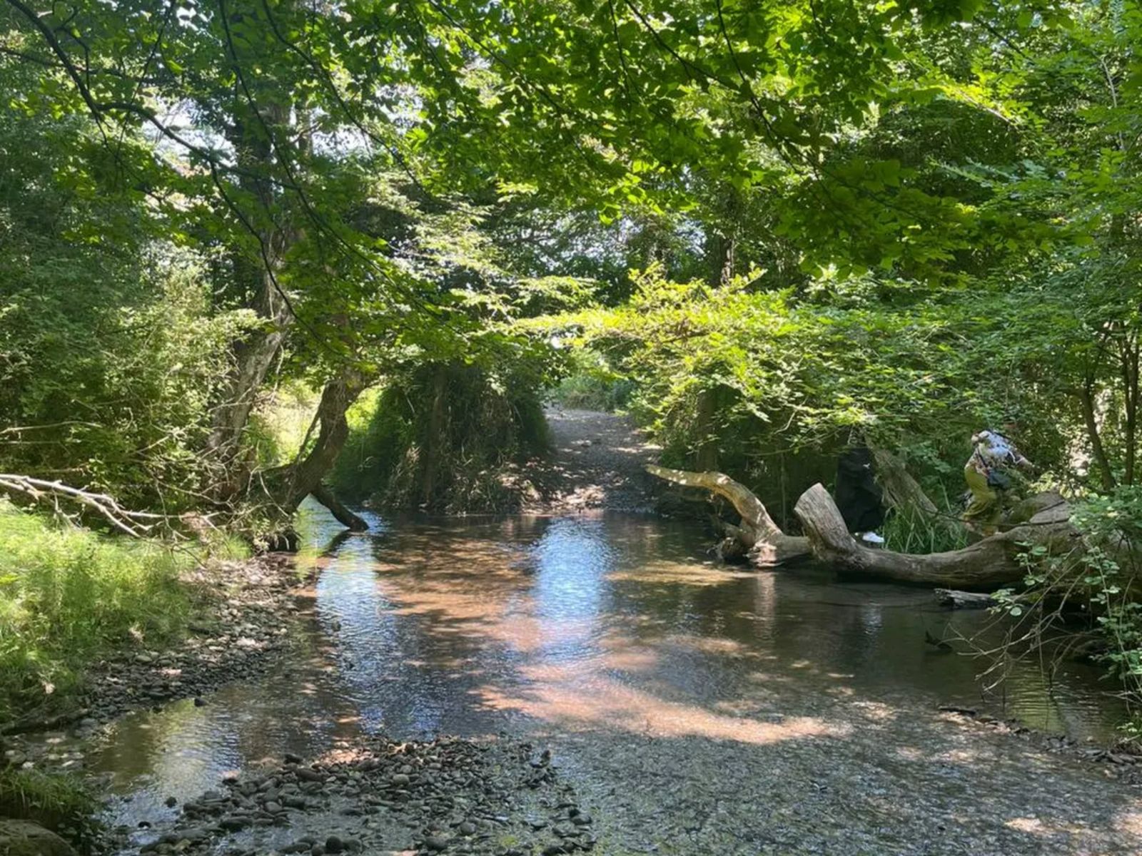 На экскурсии