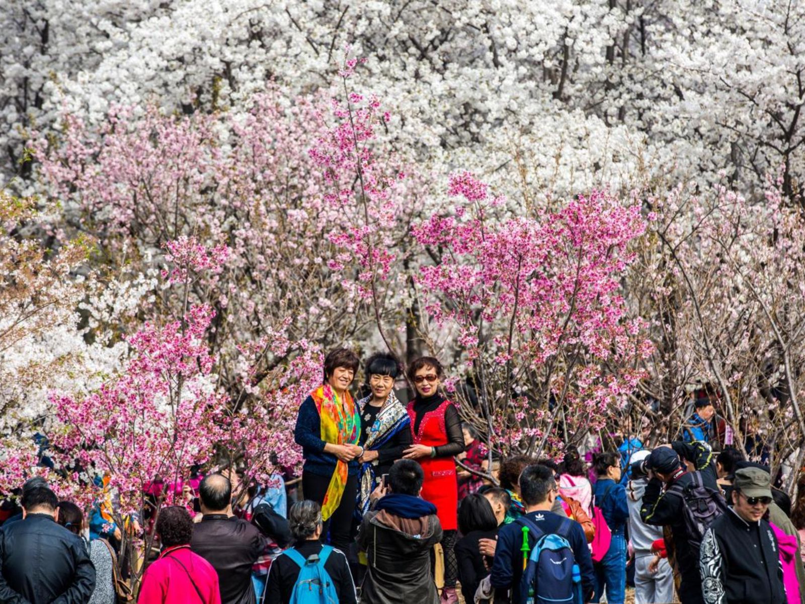 Туристы в Пекине