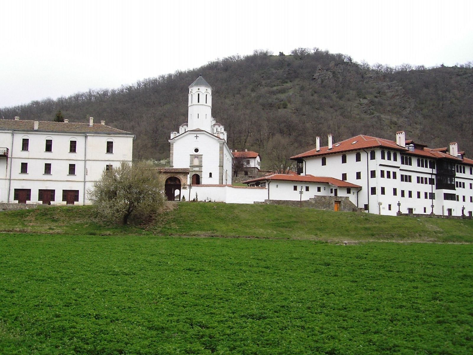 Монастырь Прохора Пчиньского