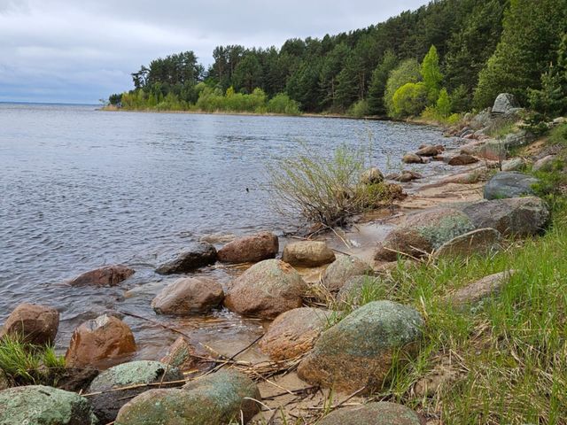 Экскурсия из Пскова «Талабское лето: острова, дюны и живая вода» — фото 2