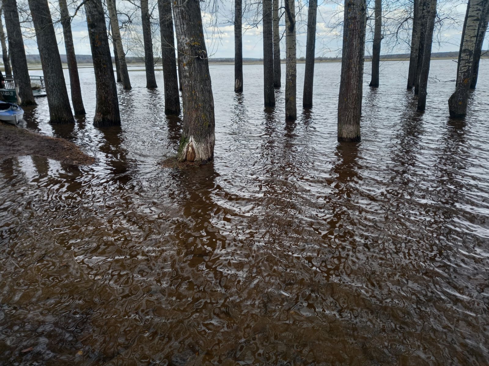 Разлив на лугу