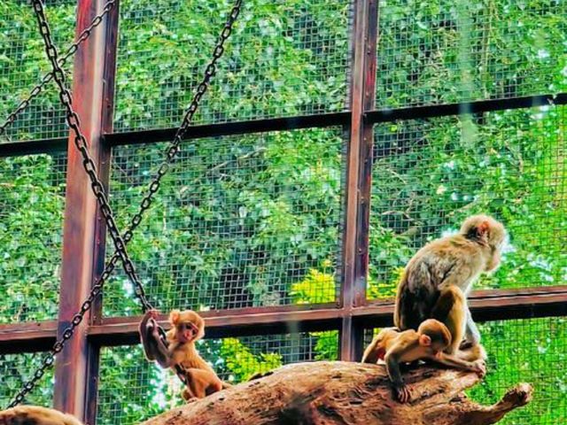 Индивидуальная обзорная экскурсия в Пекине + чайная церемония — фото 3