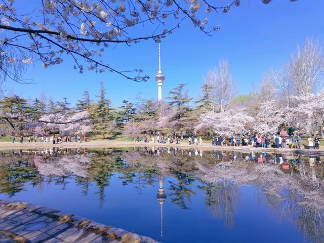 Индивидуальная обзорная экскурсия в Пекине + чайная церемония