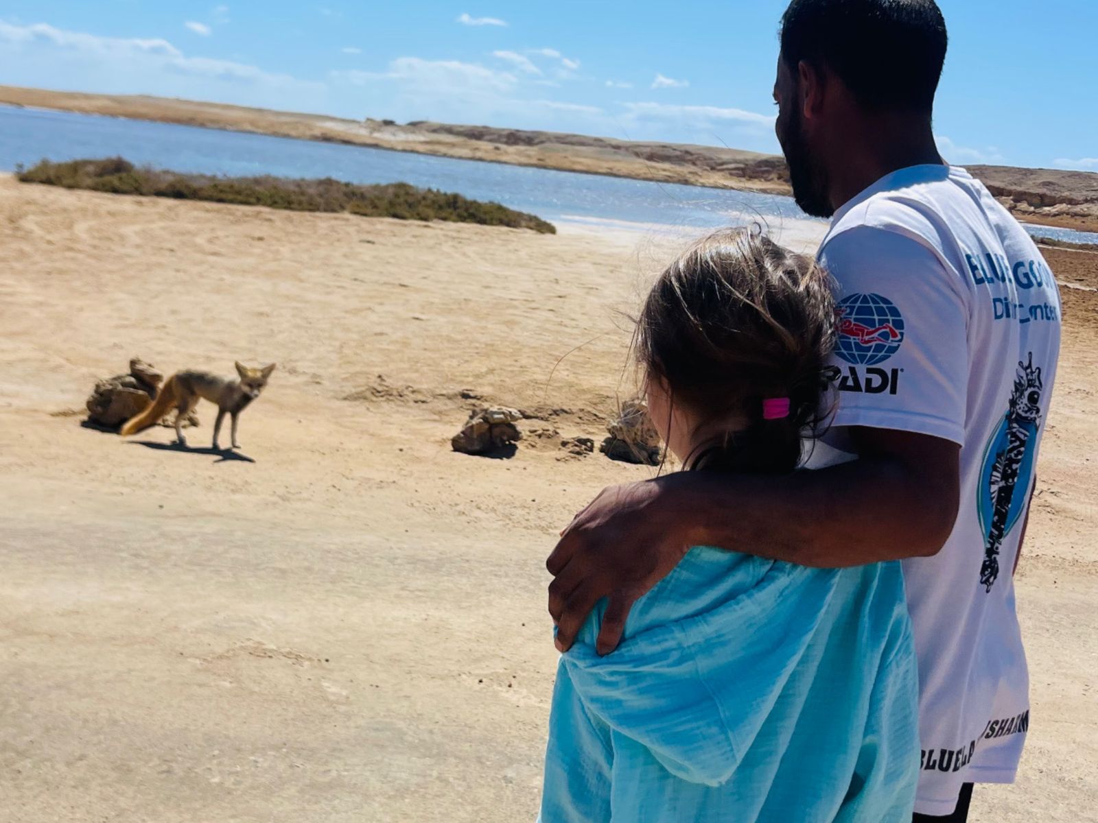 Наблюдение за природой