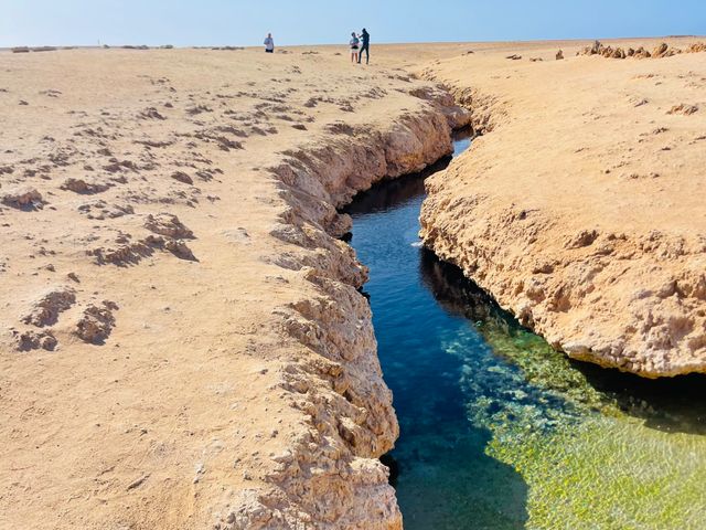 Индивидуальная экскурсия в национальный парк Рас-Мохаммед — фото 2