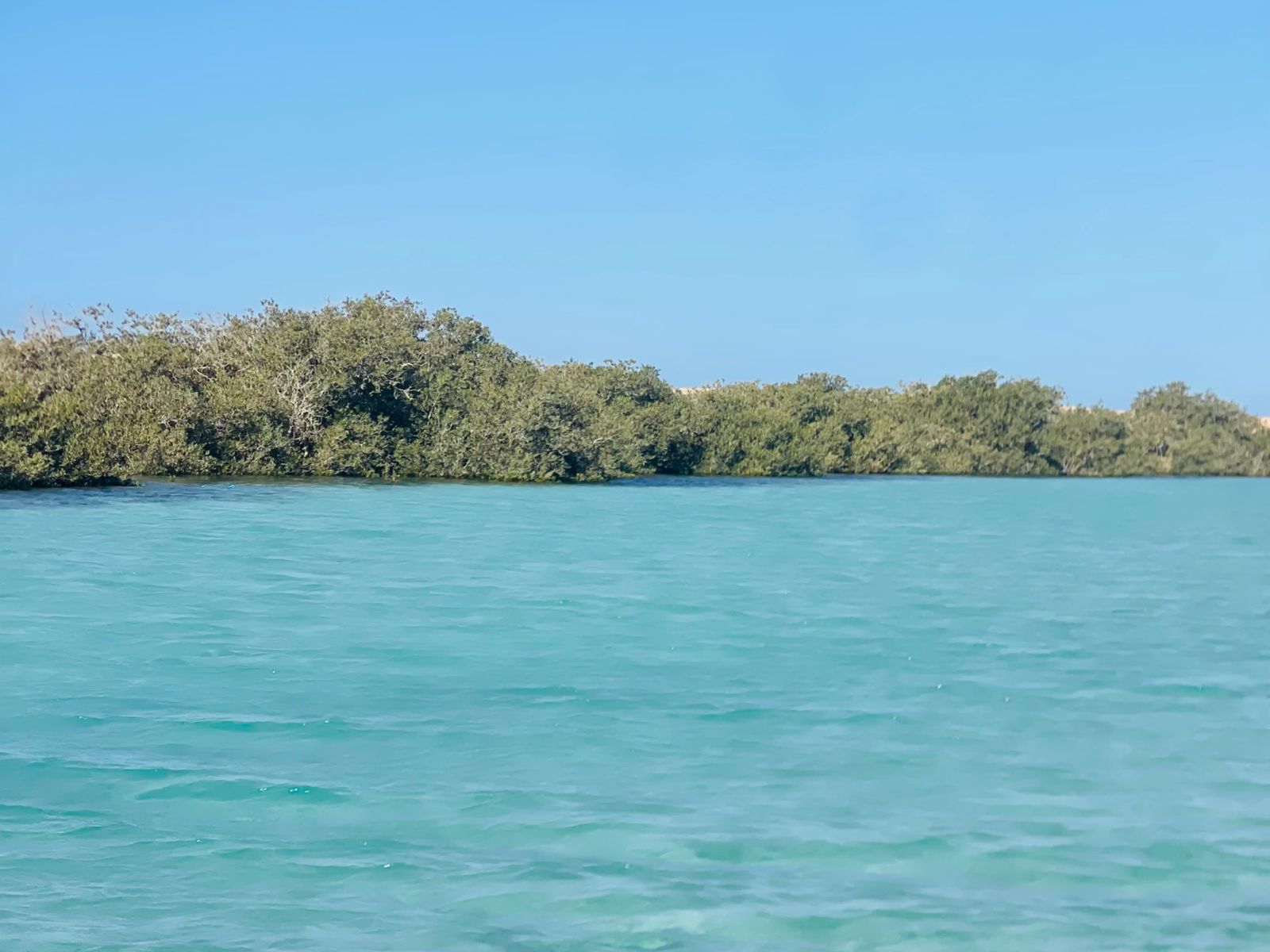 На экскурсии