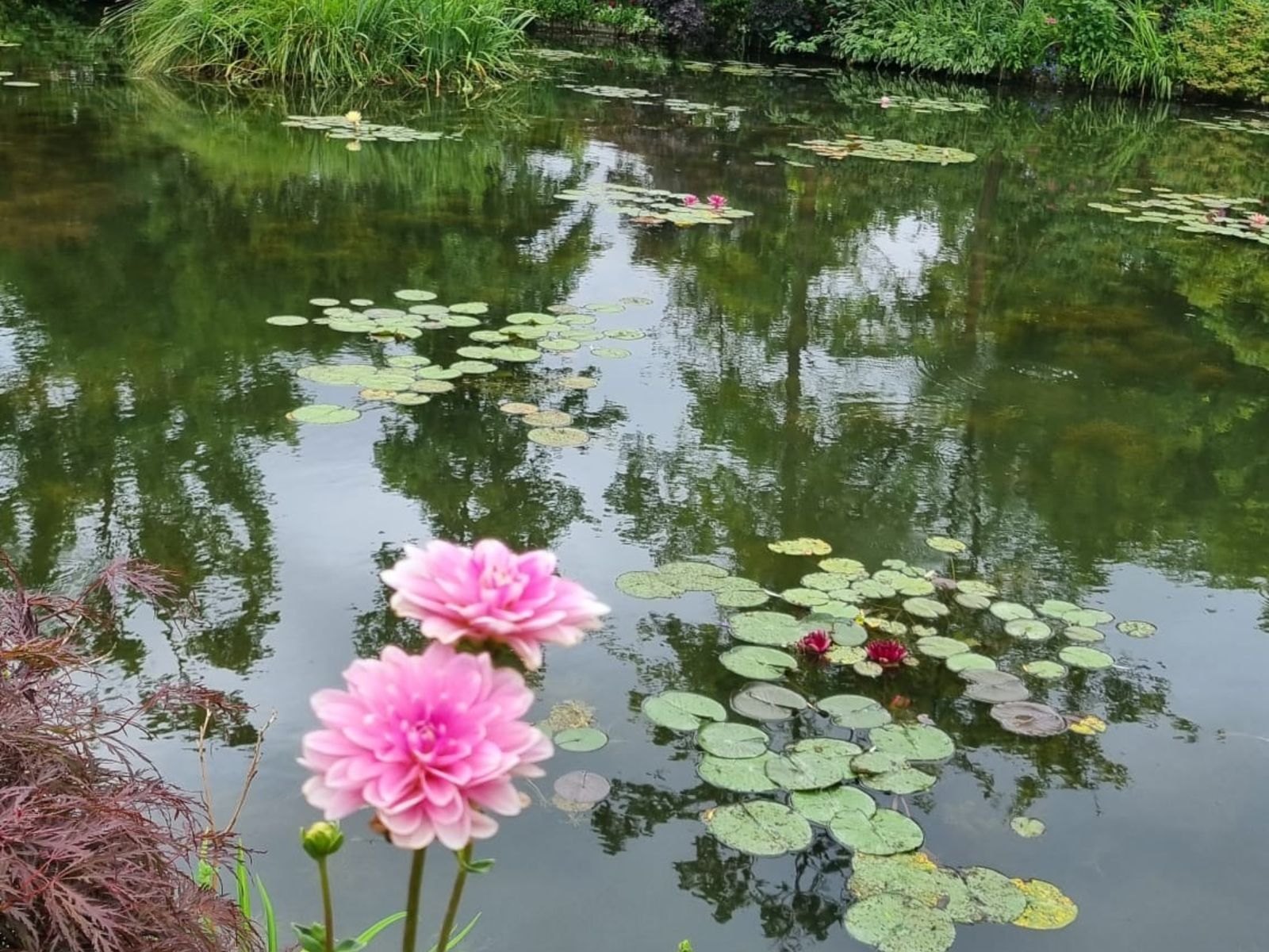 Сады Клода Моне