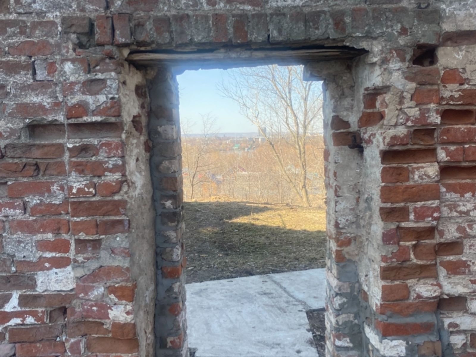 Иголичье ушко