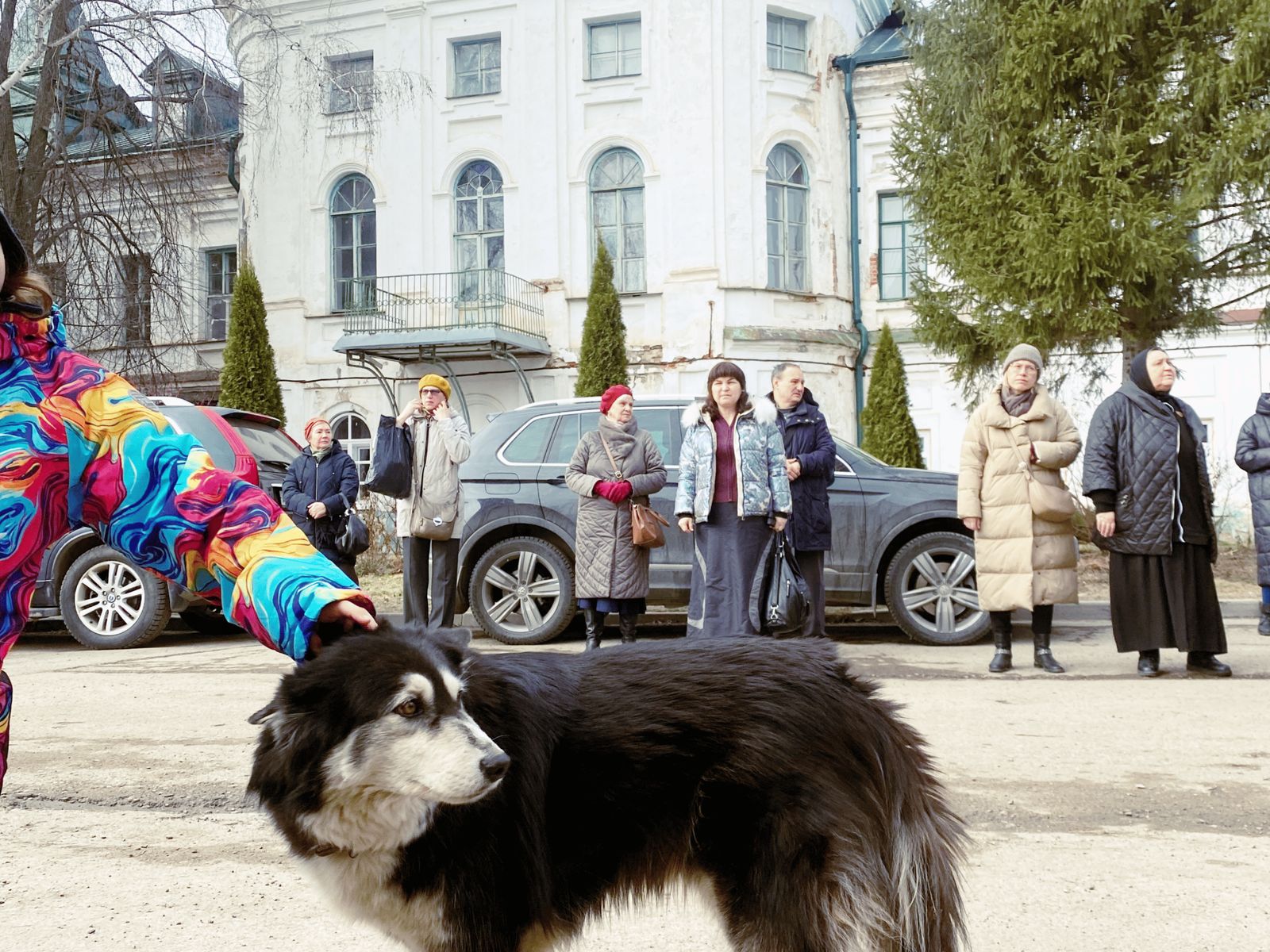 Современная жизнь подворья
