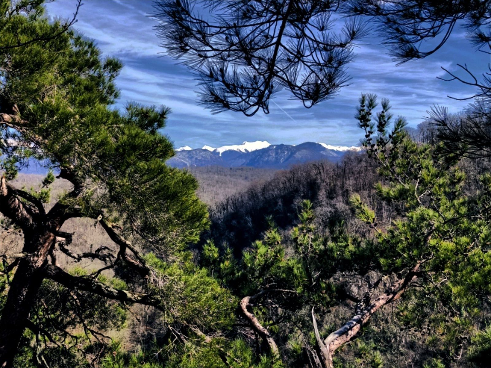 Вид на вершины Главного Кавказского хребта