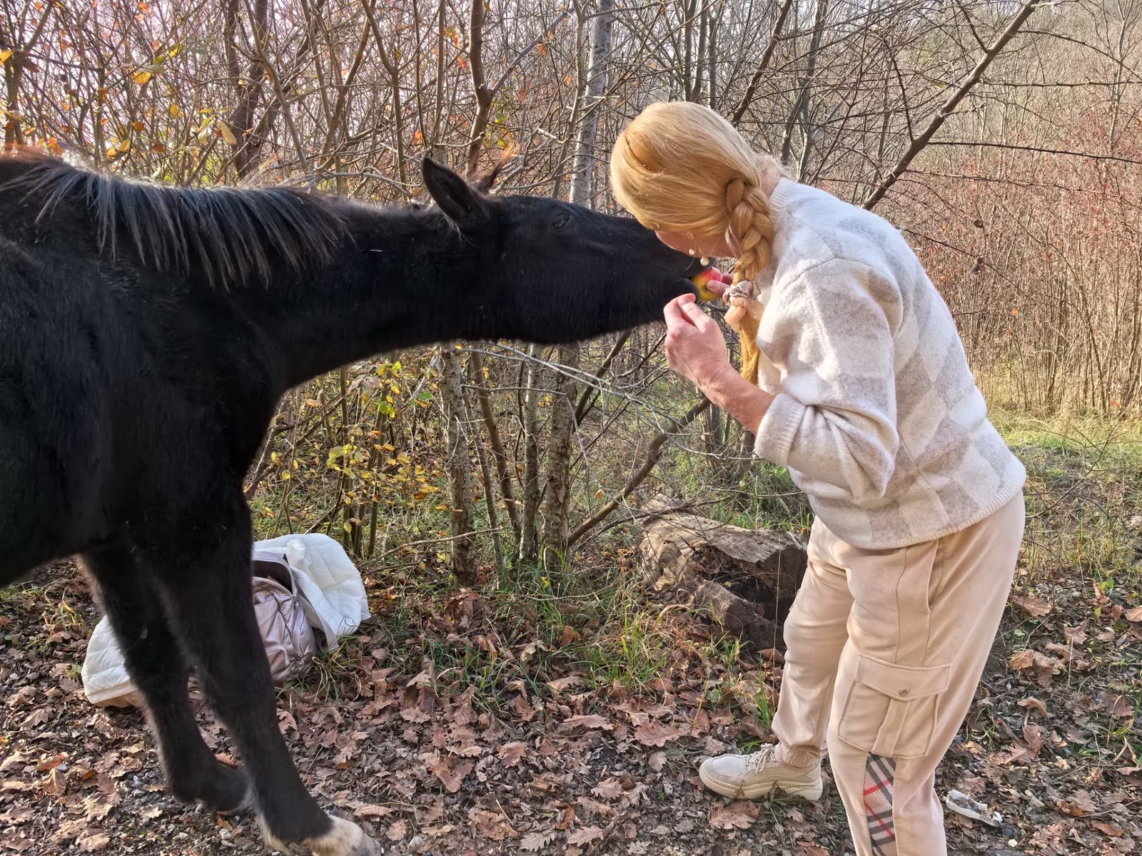 Хвостатые попутчики