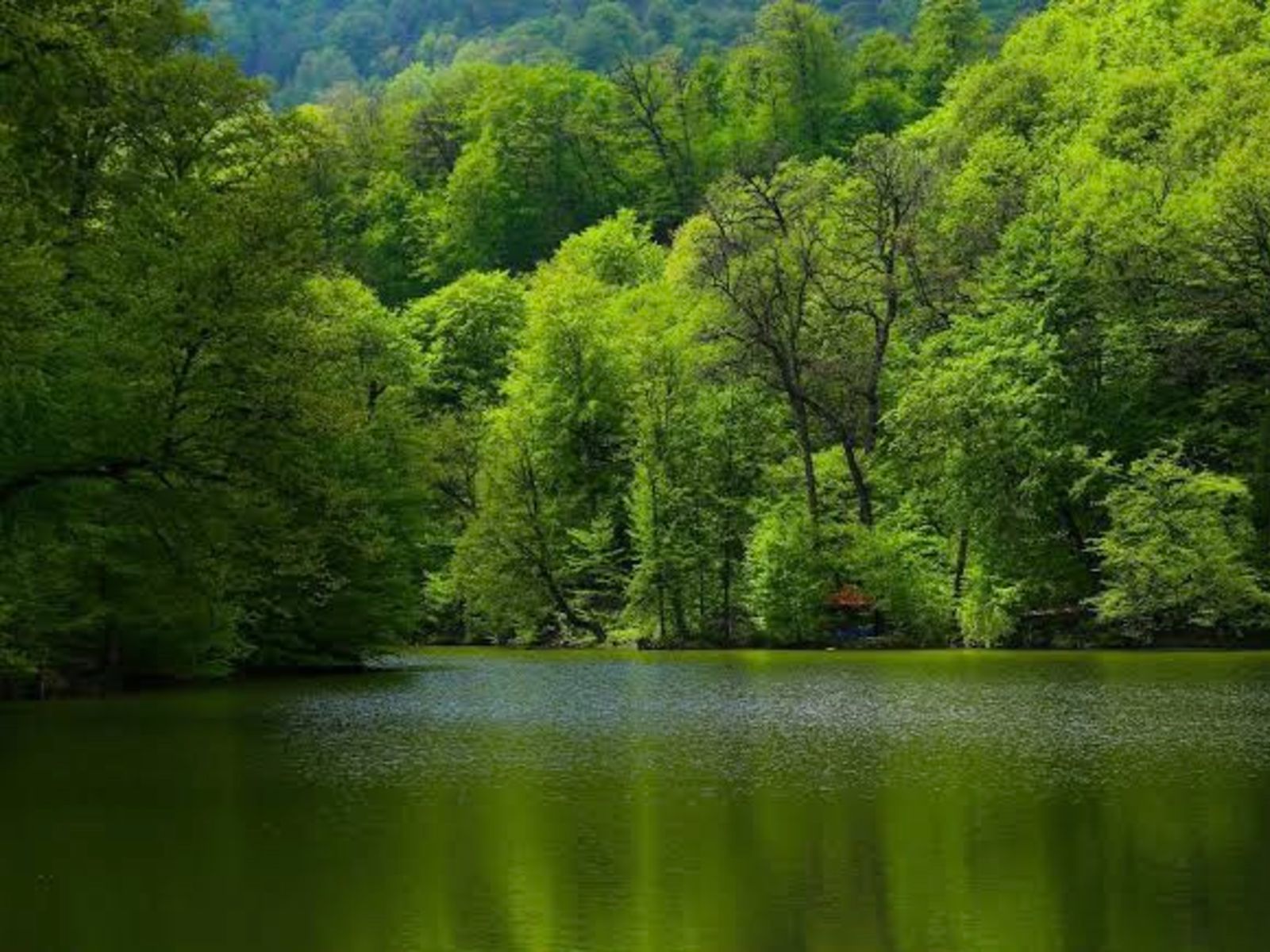 Национальный парк Дилижана
 