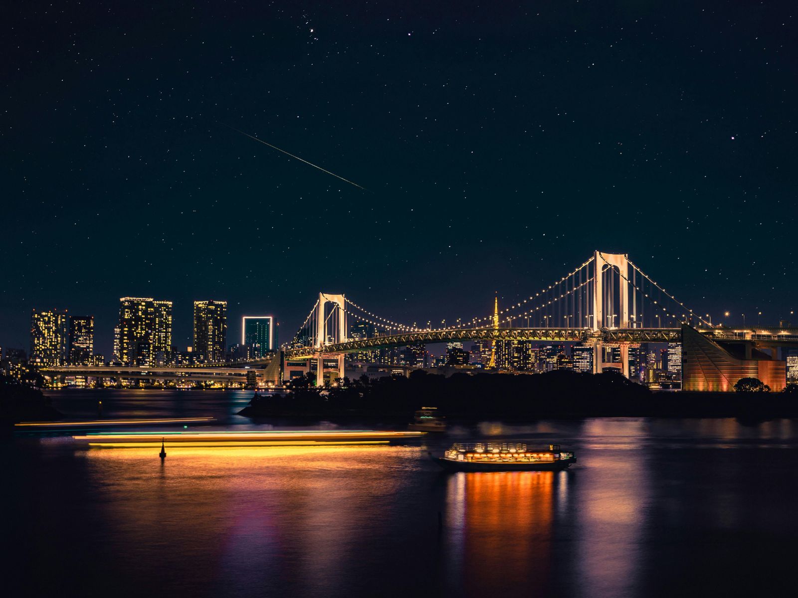 Ночные виды