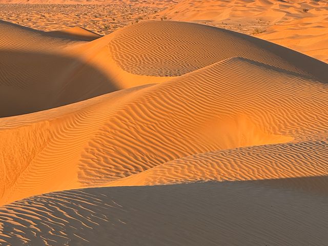 По следам легенд: экскурсия в пустыню Руб-эль-Хали и город Убар