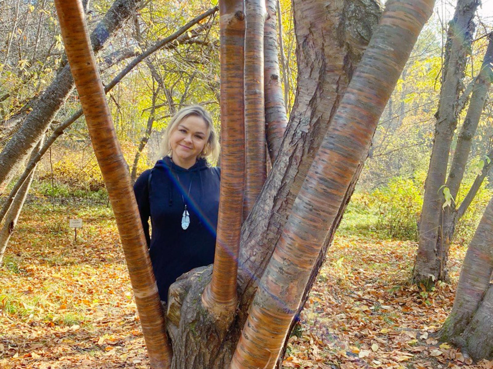 Уникальная растительность дендрария