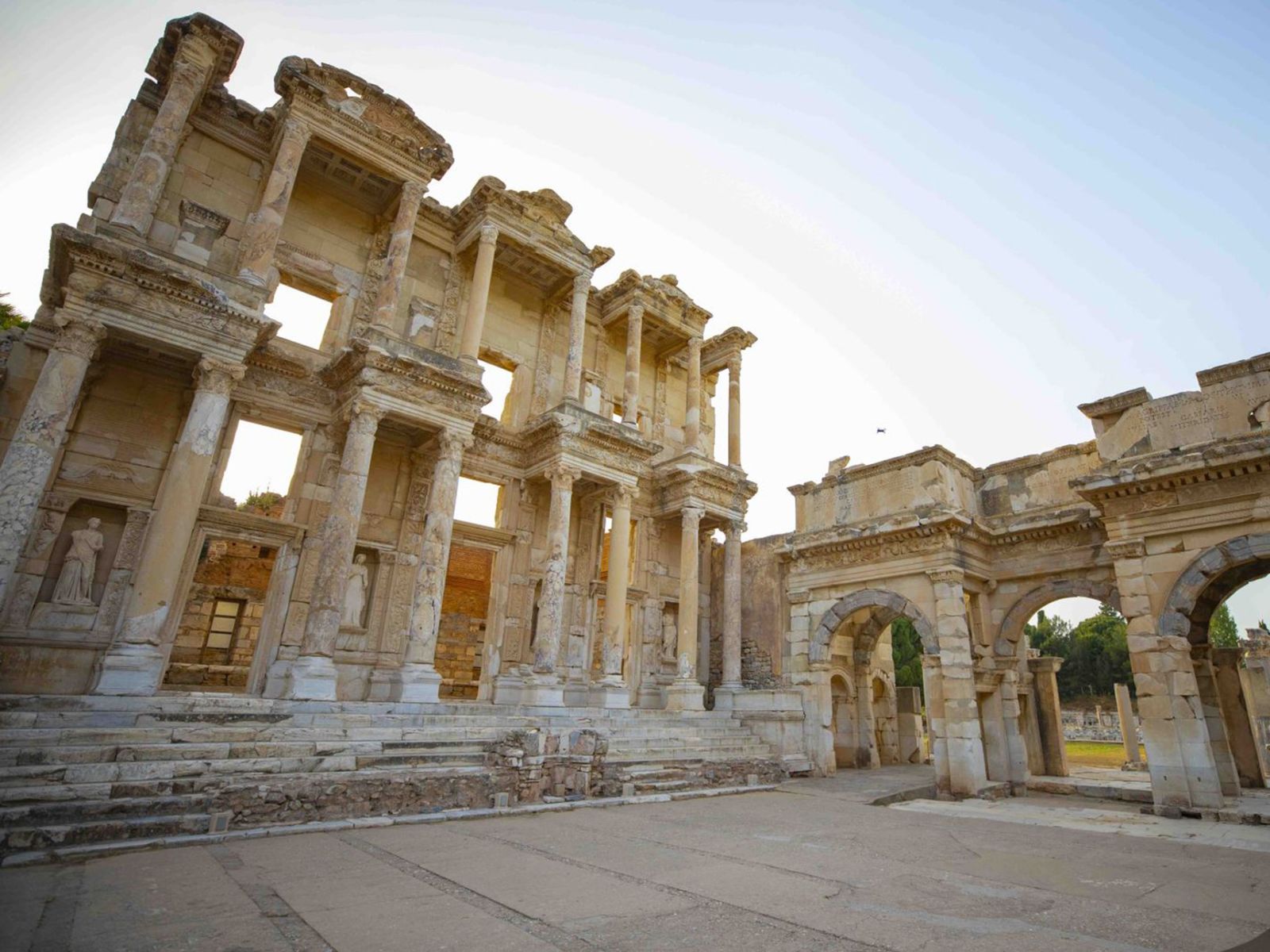 Библиотека Цельса