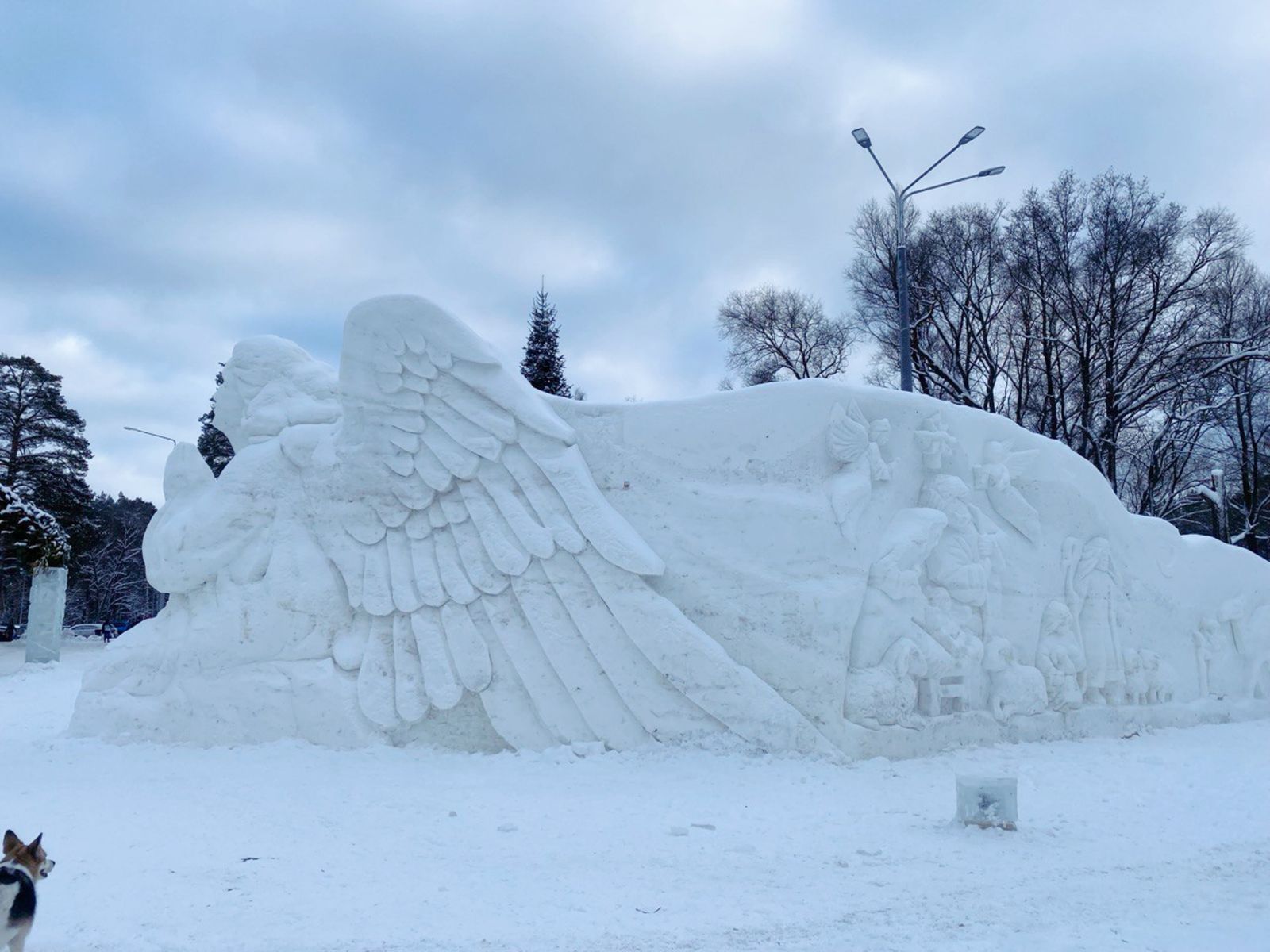 Раифа на Рождество