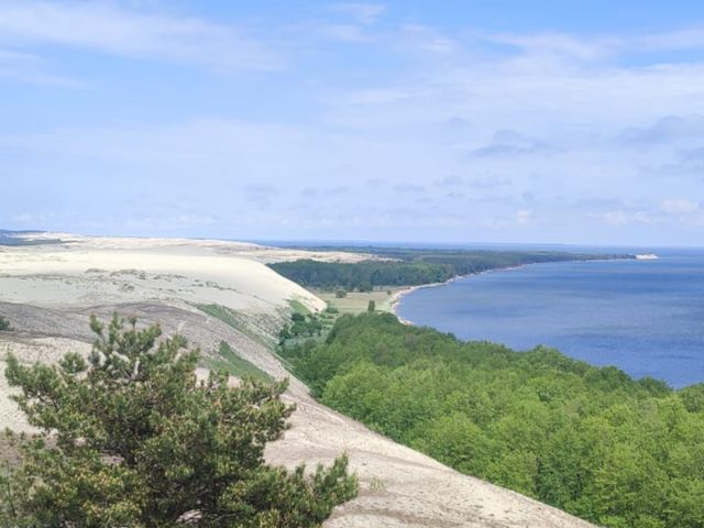 Куршская коса и Зеленоградск на экскурсии из Калининграда