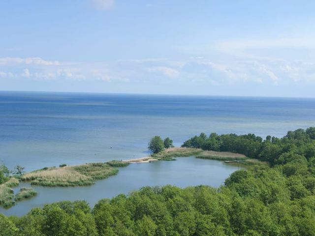 Куршская коса и Зеленоградск на экскурсии из Калининграда — фото 3