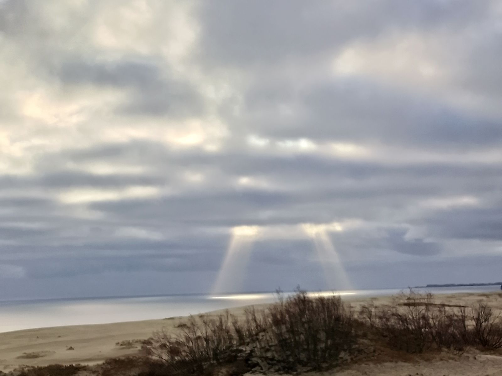 На Куршской косе