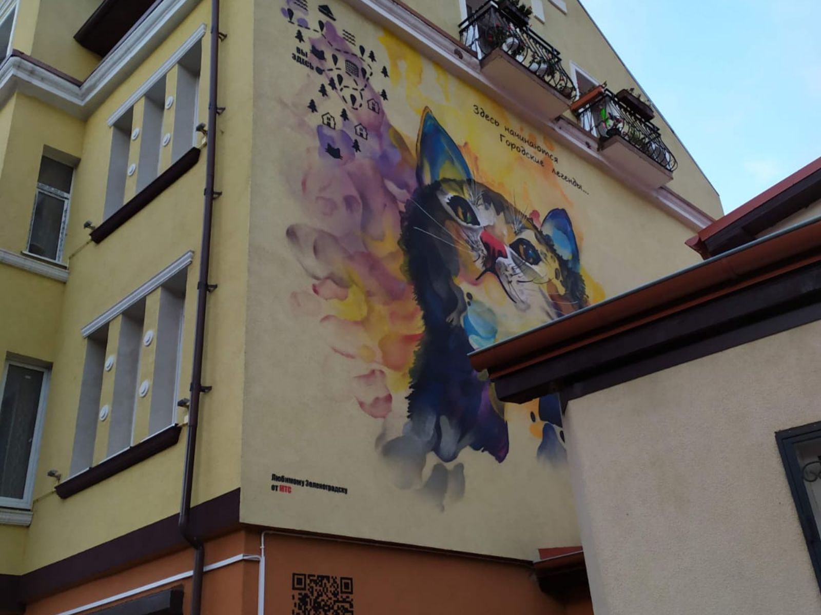 Зеленоградск. Мурал с изображением кота 