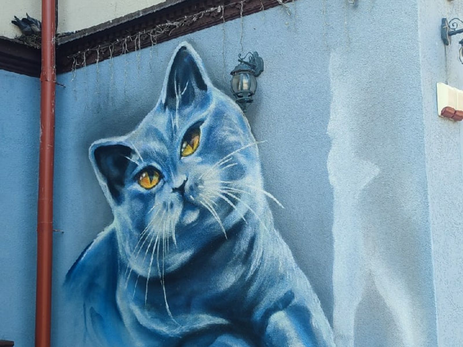 Зеленоградск