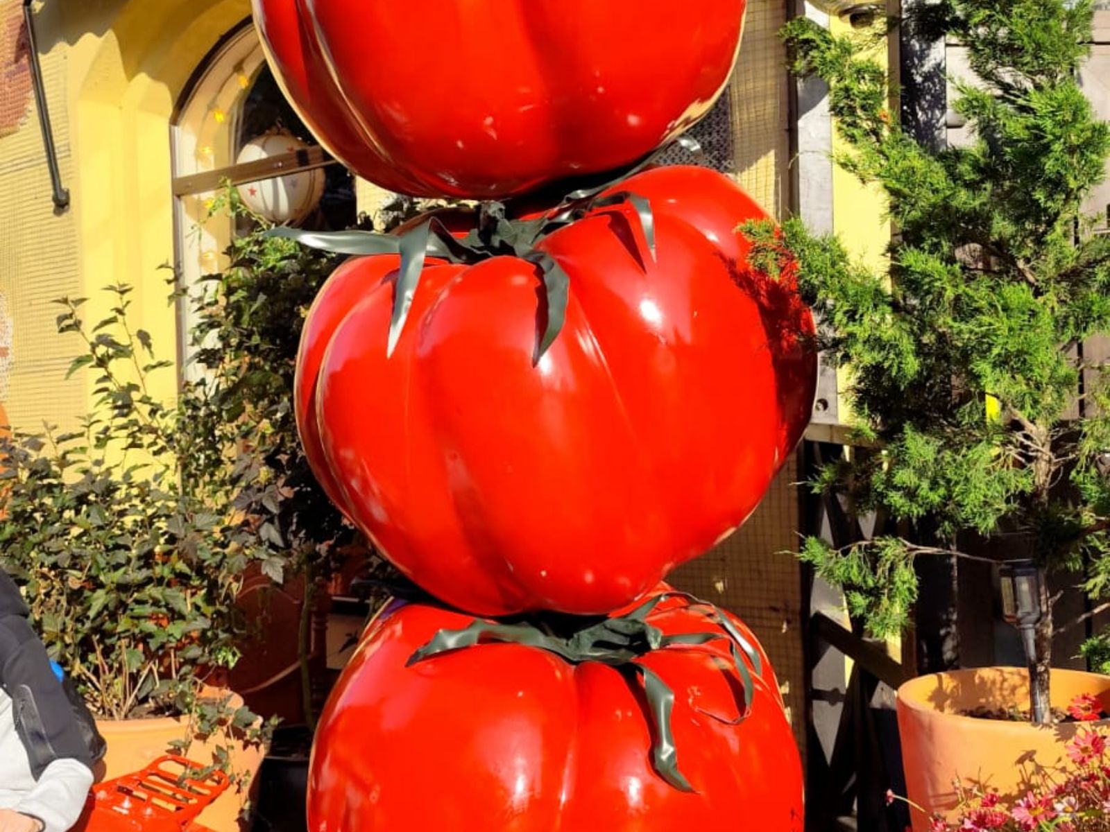 В Зеленоградске