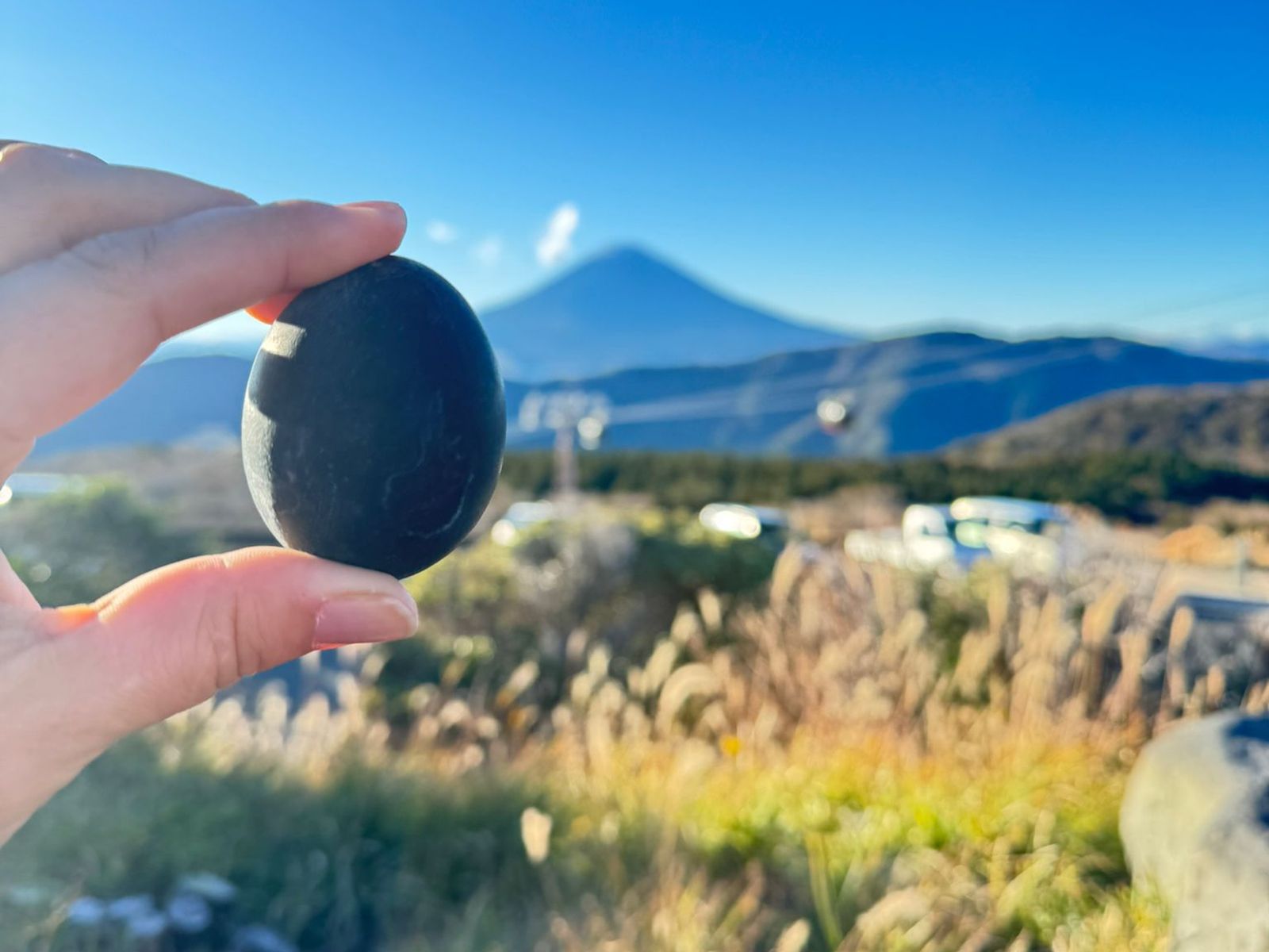 Черное яйцо