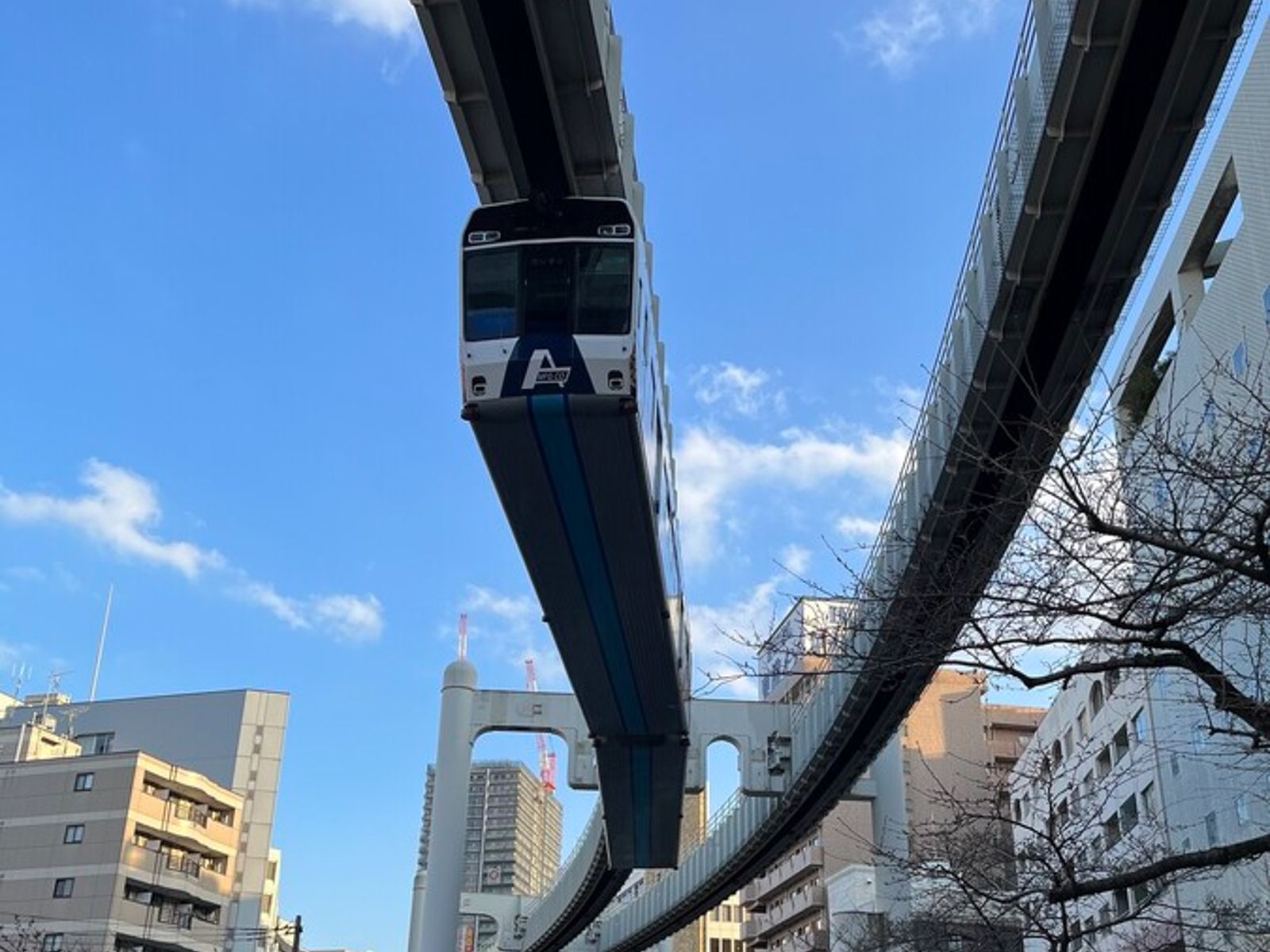 Монорельсовая дорога