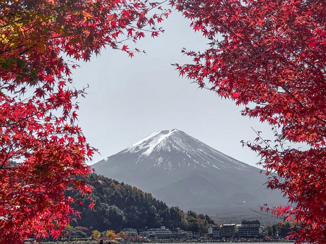 Фудзи как на открытке: экскурсия из Токио к символу Японии — фото 2