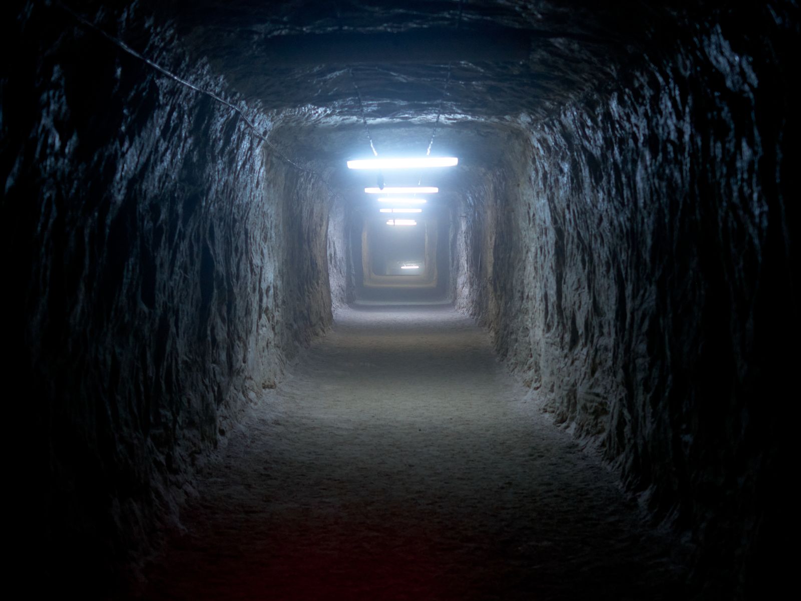 На экскурсии