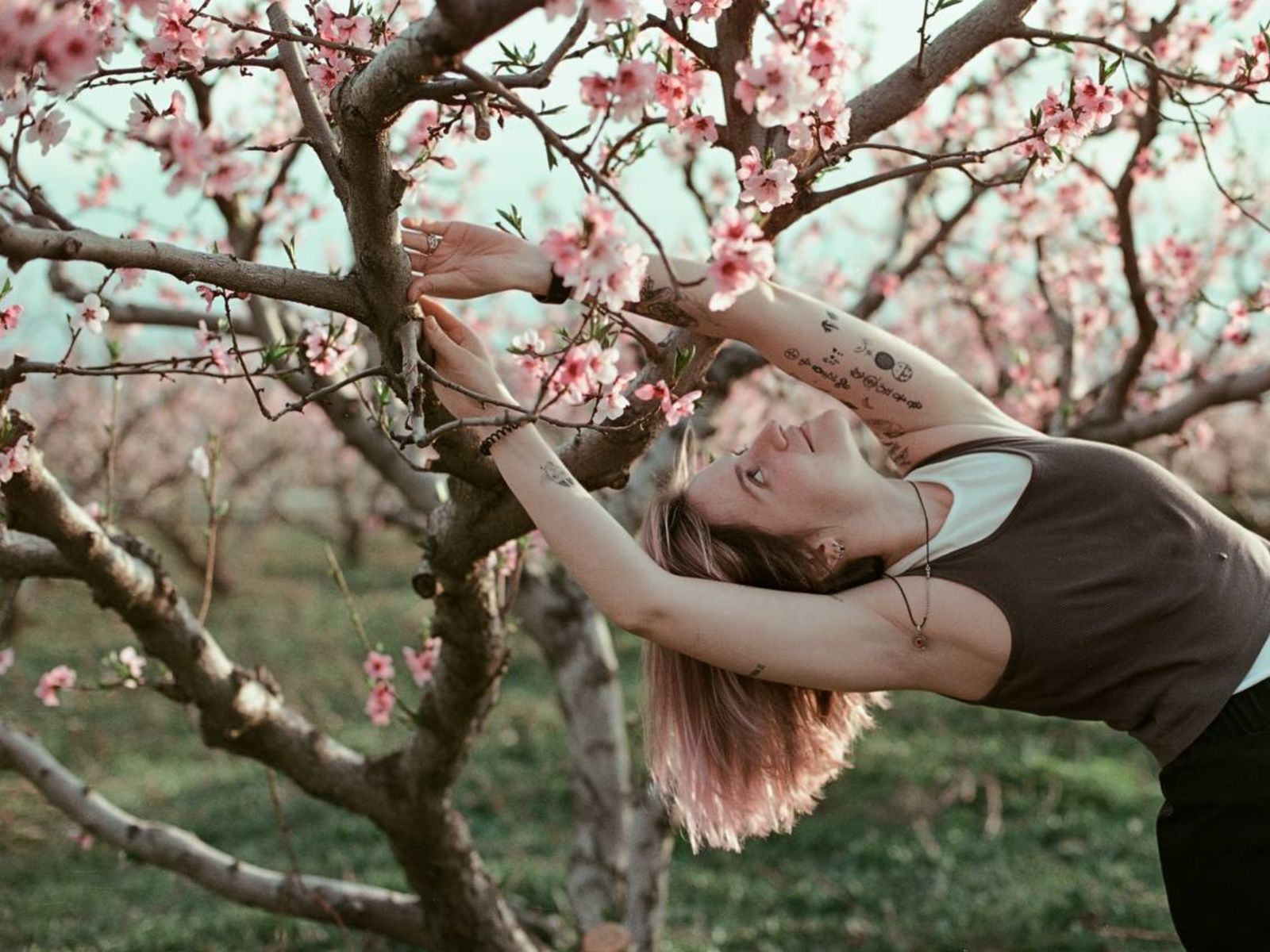 Фото в саду