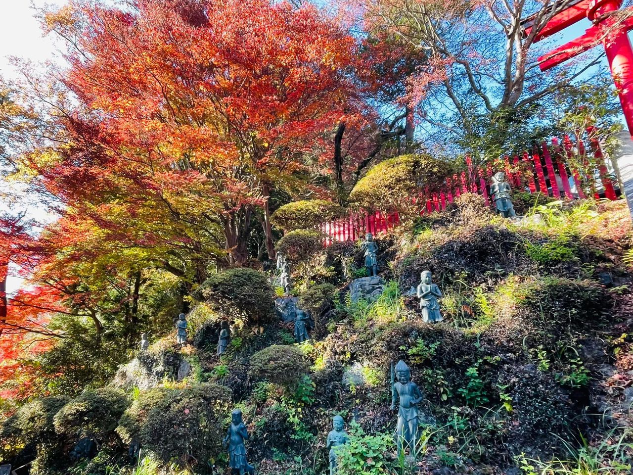 7 чудес горы Такао: экскурсия в тайное сердце Западного Токио - индивидуальная экскурсия в Токио пешком длительностью 5 часов с количеством участников до 6 человек цена экскурсии 250€