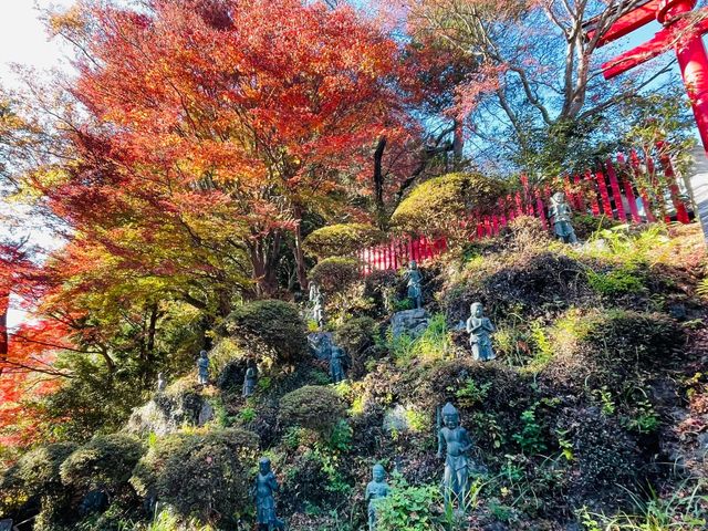 7 чудес горы Такао: экскурсия в тайное сердце Западного Токио