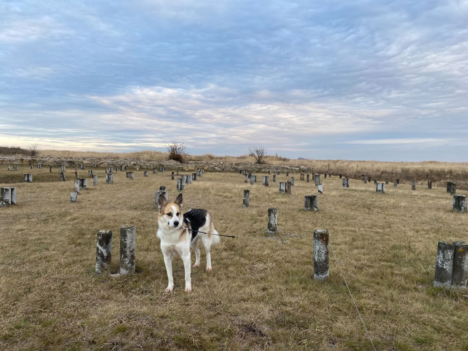 Билярское городище