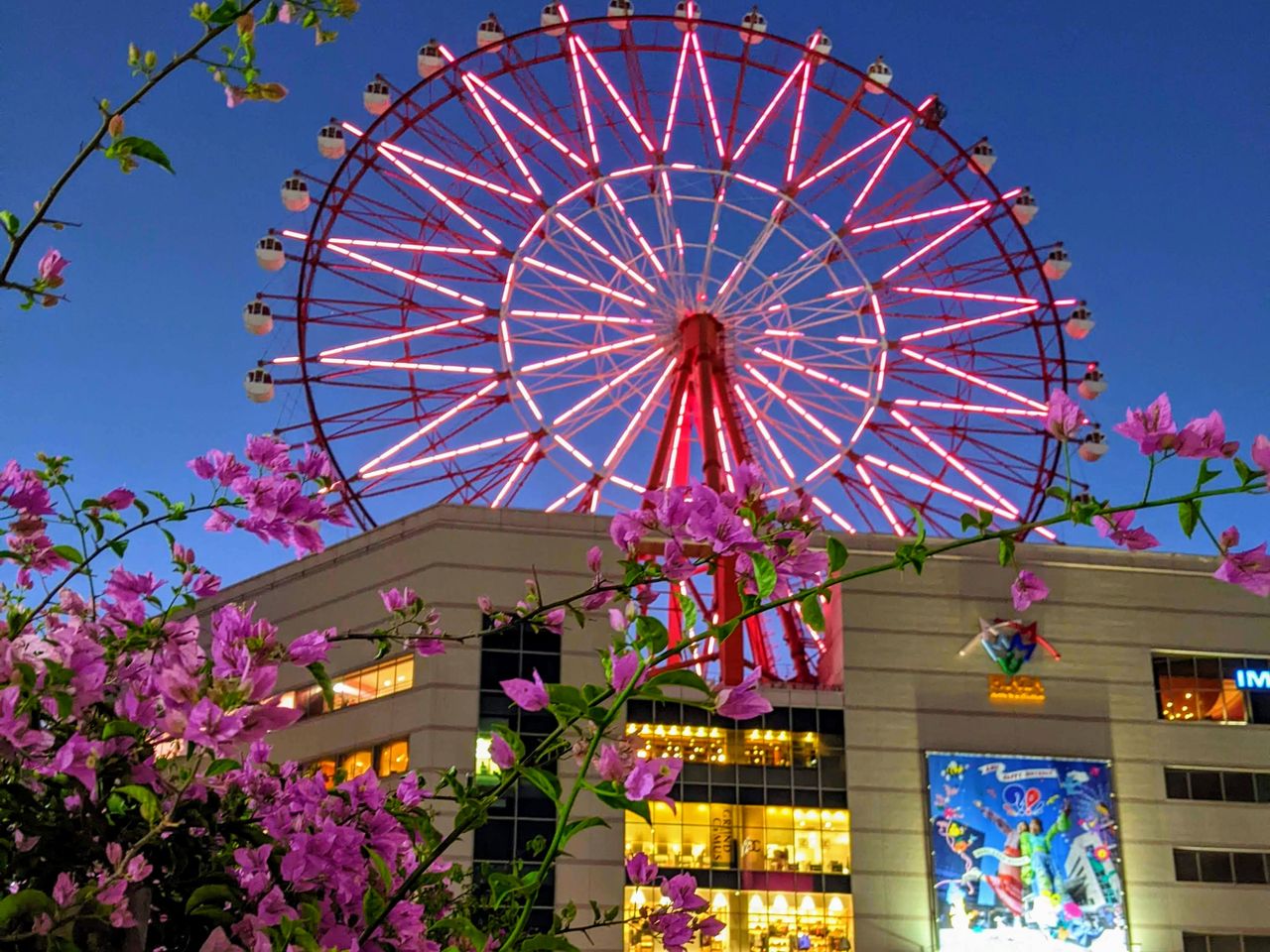 Индивидуальная обзорная экскурсия по Кагосиме — японскому Неаполю - индивидуальная экскурсия в Кагосиме длительностью 7 часов с количеством участников до 8 человек цена экскурсии 800€