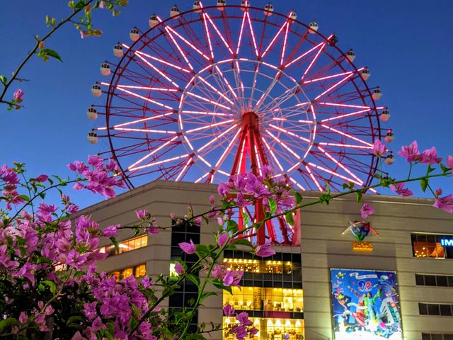 Индивидуальная обзорная экскурсия по Кагосиме — японскому Неаполю