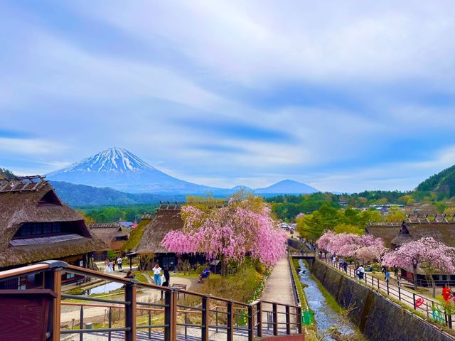 Индивидуальная экскурсия из Токио за лучшими видами Фудзи