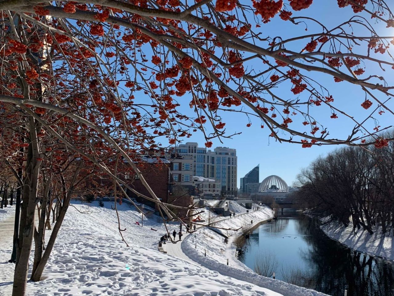 Обзорная экскурсия-прогулка по набережной реки Исеть - индивидуальная экскурсия в Екатеринбурге пешком длительностью 1.5 часа с количеством участников до 4 человек цена экскурсии 3800₽