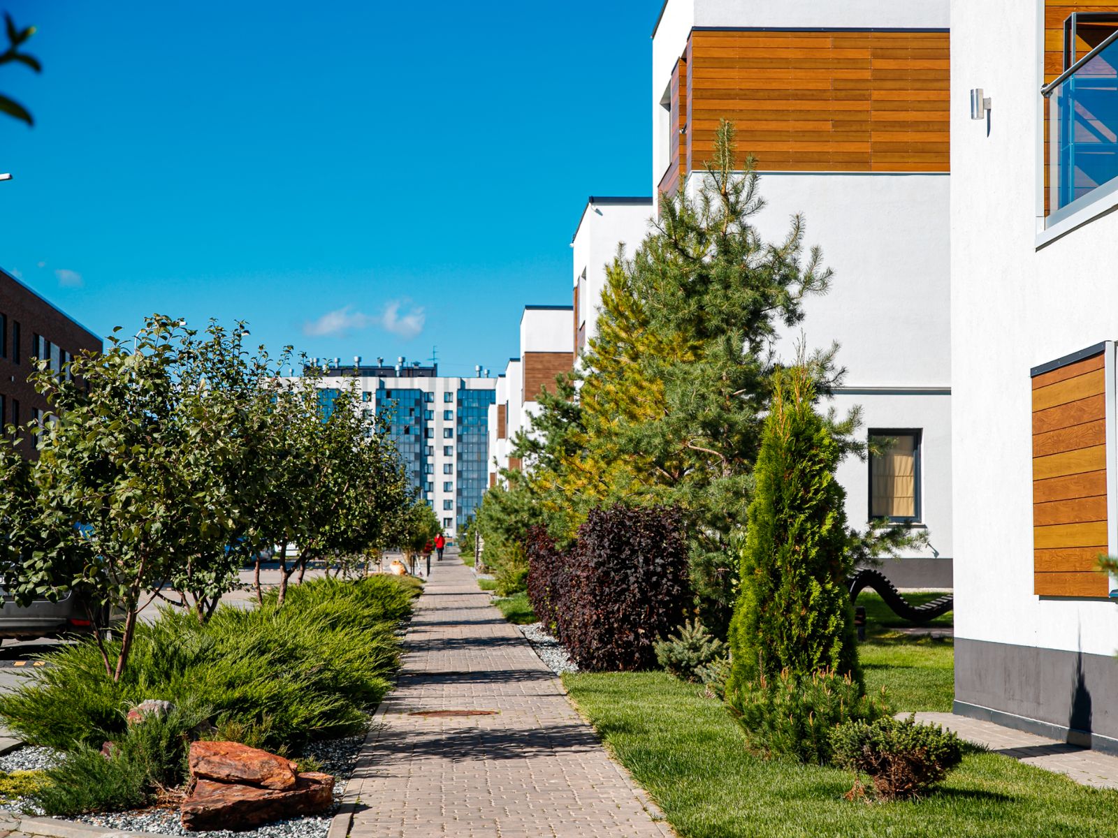 На прогулке