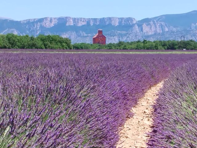 Индивидуальная экскурсия из Марселя "Лавандовые сны Прованса"