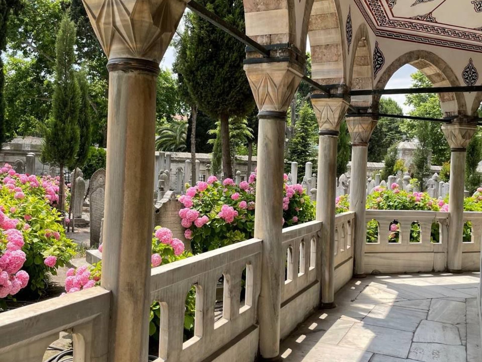 На прогулке