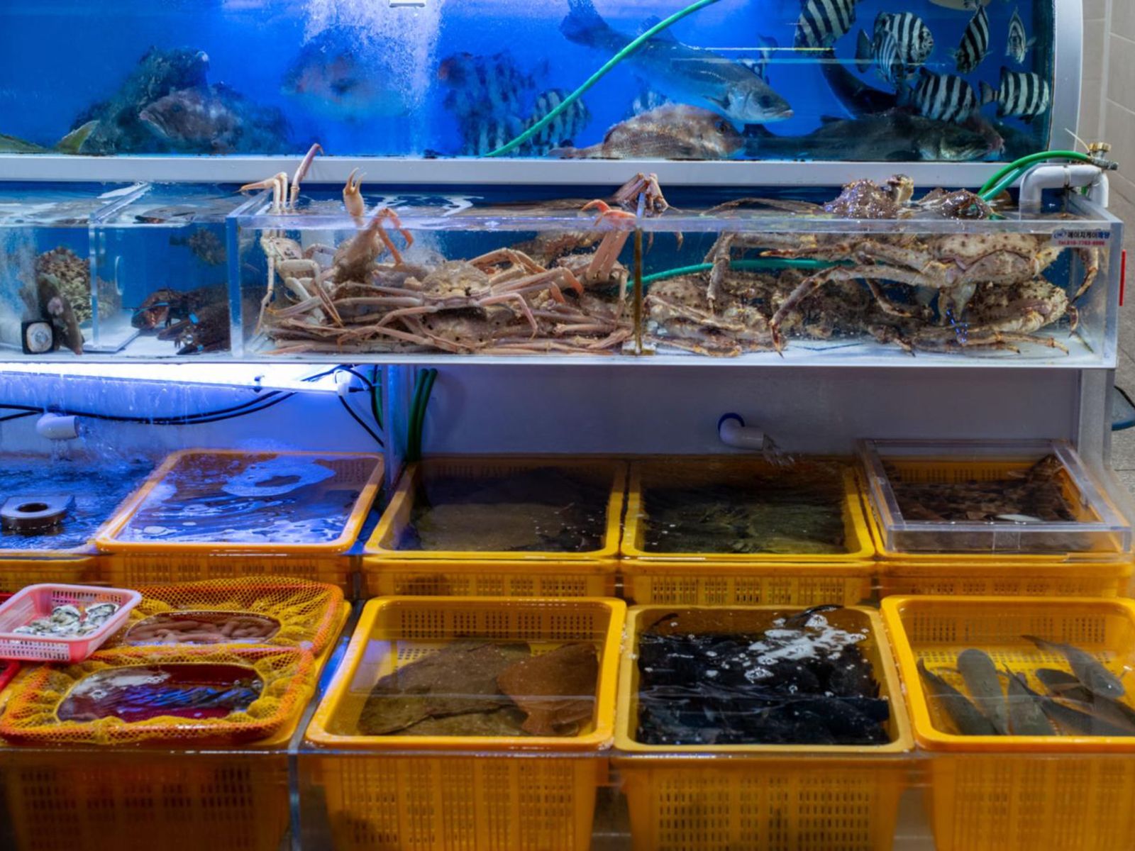 Морепродукты